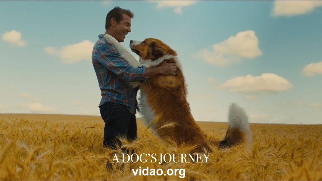 فیلم خنده دار خارجی a dogs purpose هدف یک سگ ۲۰۱۷  چسبیده   آنلاین
